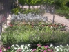 flower-garden-1024